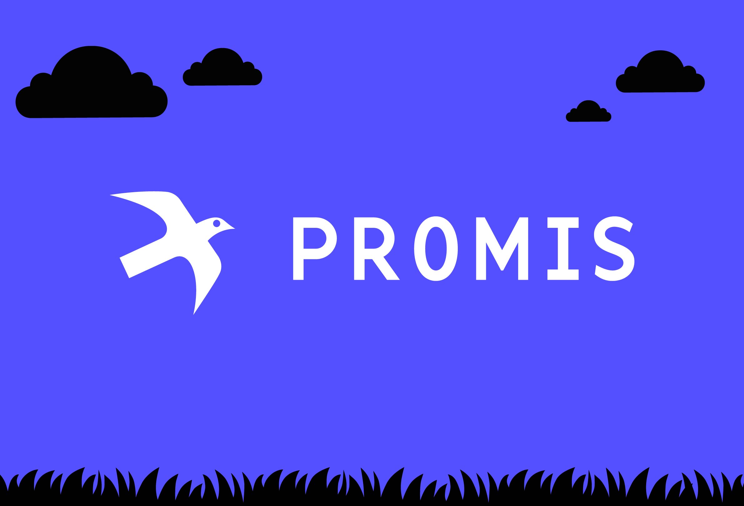 PROMIS